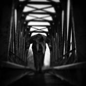 Living With Ghosts by James Pryor