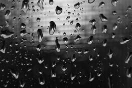 After the Rain by Justin Ciccarello
