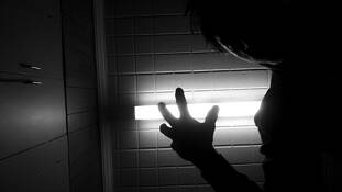 Shadow of Former Self by Bil Laschke