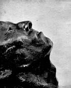 Clews Bust by Carol MacLeod