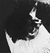 Cat 2 by Henrietta Ortiz