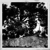 Untitiled #3 by Jerry Kay