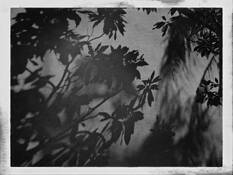 Untitled #5 by Jerry Kay