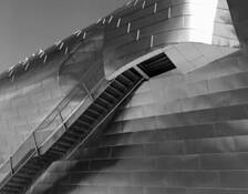 Lines by Kathy Conway