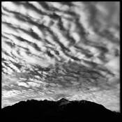 Thought of the Evening by Roberto Frieri