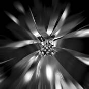 Fixture Green Bay by Steven W. Stanger