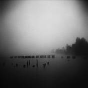 Morning Fog by Arlene Stanger