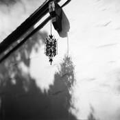 Shadows by Arlene Stanger