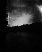 Random Light Landscape 1 Ash Island NSW Australia by Chris Byrnes