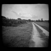 Farm Road by David Pellegrini