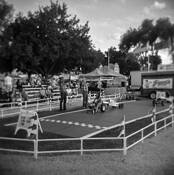 Lil' Tractor Pull by Dylan A. Smith