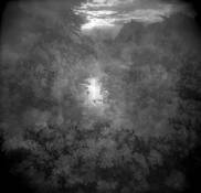 Scene From an Imagined Childhood by J. M. Golding