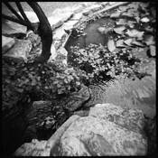 Narrow Streams by Kristin L. Ware