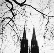 Cathedral by Michael Schiffhorst
