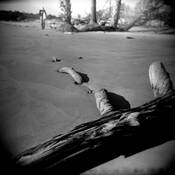 Hunting Island by Philip Arnold