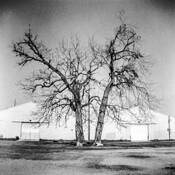 Reminds Me of Cerberus by Steve Spehar