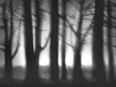 Morning Glow by Thomas Tollefsen