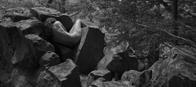 Nest by Peter Bajzek