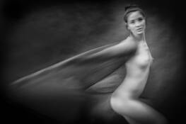 In the Name of Beauty 2 by Dennis Wickes