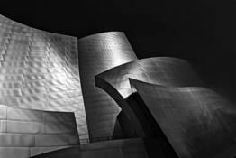 Shining by Larry Colby