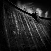 Dam Birds by Steve Burkett