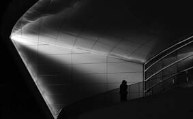 Solitary Reflection by Gerald W. Shonkwiler