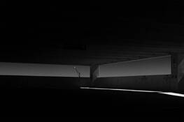 Fourth Floor Reserved by Larry Torro