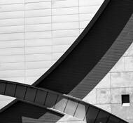 Shadows by Kathy Conway