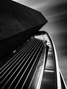 Lewis Library by Elina Veyberman