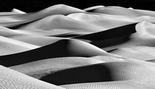 Windscape by Beamie Young