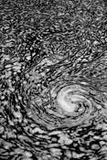 Swirl by Scott Hoyle