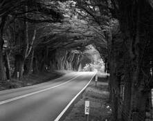 Shoreline Highway SR 1 by James P. Sweeney