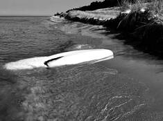 Stranded by James J. Maloho