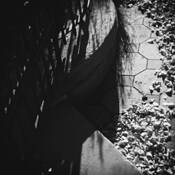 Untitled 2 by James Reynolds
