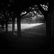 Untitled 1 by James Reynolds