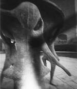 Liturgical Dancing by Myles Gallagher