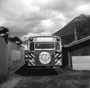 Smile by Steven Taddei