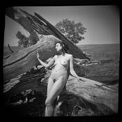 Marena by David Pellegrini