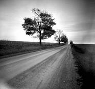 Long-Road by Daniel Masci