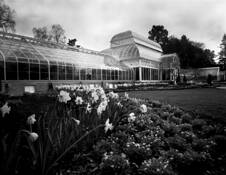 Volenteer Park by Tom Kirkendall
