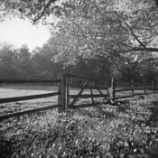 Gate by T. Brian Hager