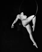 Lyra Nap by Reidar Schopp