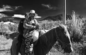 Horseman by Mark Ferguson