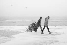 Untitled 2 by Krzysztof Brzeski