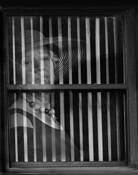 Woman in a Window1 by Gwen Solomon