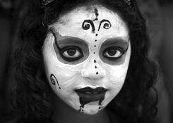 Festival by Brent Nicastro