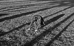 Long Shadows by Christine Federici