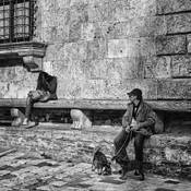 Crying Girl by Steven Greenbaum