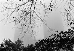 Foggy Day the Majestic by Wayne Palmer