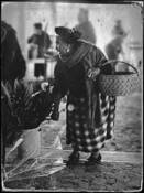 Paulina by Sam Robbins